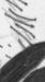 steve_guitar2x5.jpg